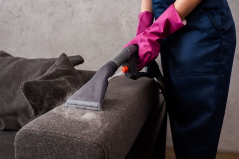 Best Steam Cleaner For Couch Four Centuries